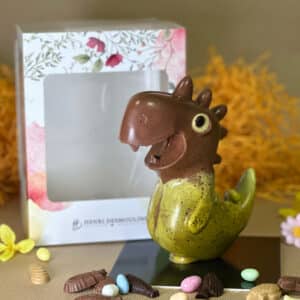Gros Dino moulage chocolat